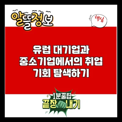 유럽 대기업과 중소기업에서의 취업 기회 탐색하기