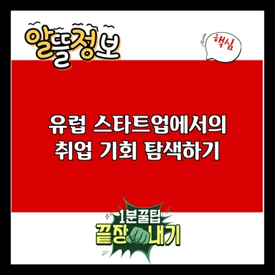 유럽 스타트업에서의 취업 기회 탐색하기