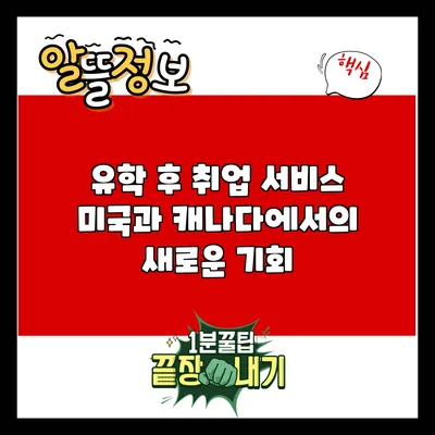 유학 후 취업 서비스: 미국과 캐나다에서의 새로운 기회