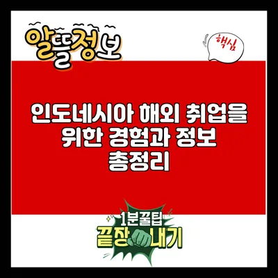 인도네시아 해외 취업을 위한 경험과 정보 총정리