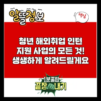 청년 해외취업 인턴 지원 사업의 모든 것! 생생하게 알려드릴게요