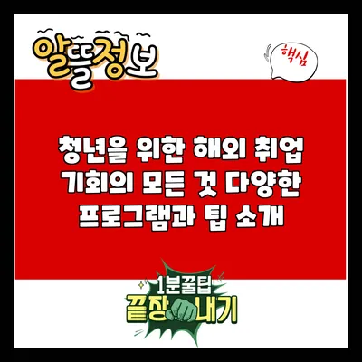청년을 위한 해외 취업 기회의 모든 것: 다양한 프로그램과 팁 소개