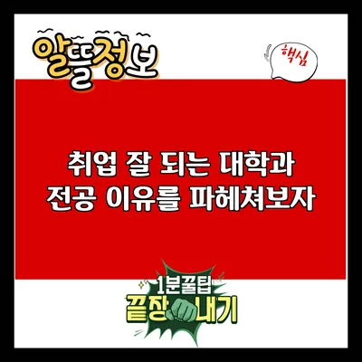 취업 잘 되는 대학과 전공: 이유를 파헤쳐보자