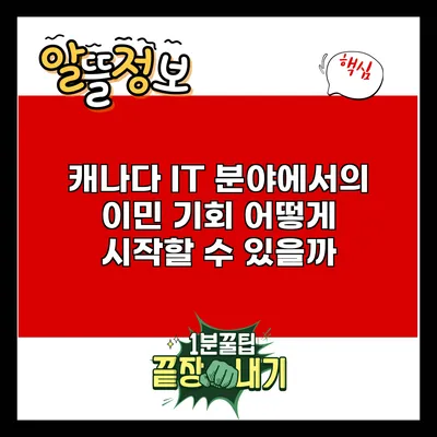 캐나다 IT 분야에서의 이민 기회: 어떻게 시작할 수 있을까?