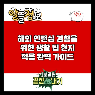 해외 인턴십 경험을 위한 생활 팁: 현지 적응 완벽 가이드