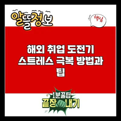 해외 취업 도전기: 스트레스 극복 방법과 팁