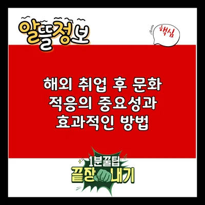 해외 취업 후 문화 적응의 중요성과 효과적인 방법