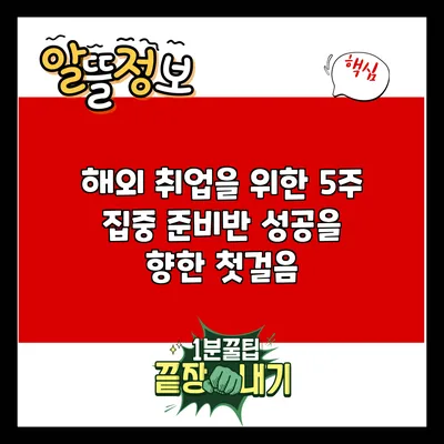 해외 취업을 위한 5주 집중 준비반: 성공을 향한 첫걸음