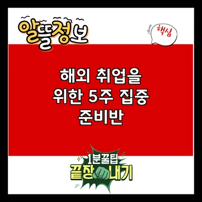 해외 취업을 위한 5주 집중 준비반