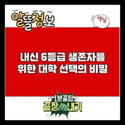 내신 6등급 생존자를 위한 대학 선택의 비밀
