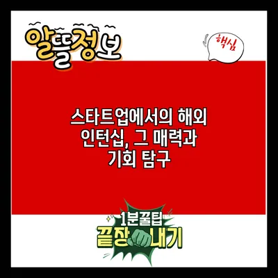 스타트업에서의 해외 인턴십, 그 매력과 기회 탐구
