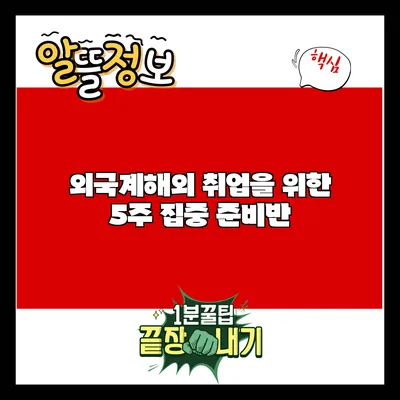 외국계/해외 취업을 위한 5주 집중 준비반