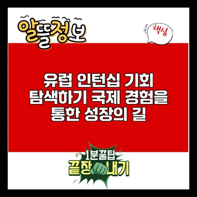 유럽 인턴십 기회 탐색하기: 국제 경험을 통한 성장의 길