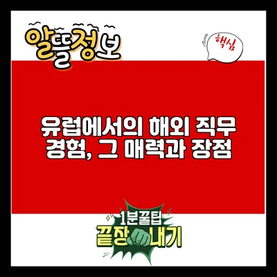 유럽에서의 해외 직무 경험, 그 매력과 장점