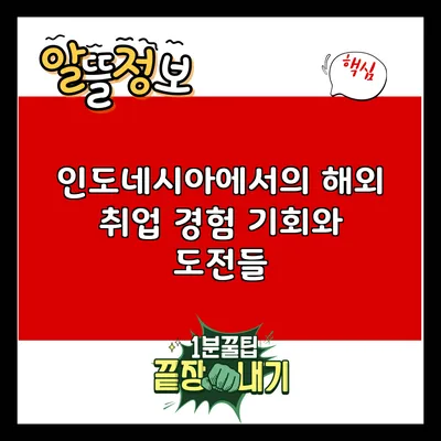 인도네시아에서의 해외 취업 경험: 기회와 도전들
