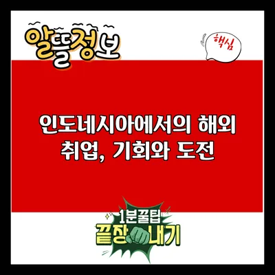 인도네시아에서의 해외 취업, 기회와 도전