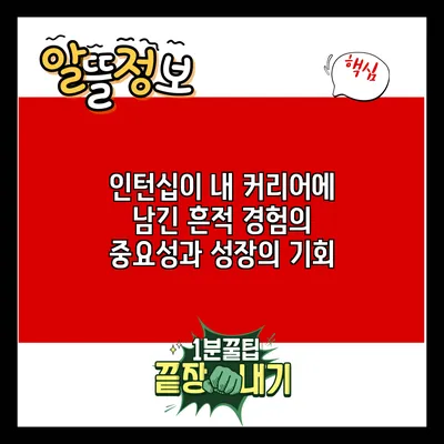 인턴십이 내 커리어에 남긴 흔적: 경험의 중요성과 성장의 기회
