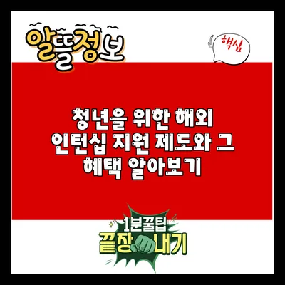 청년을 위한 해외 인턴십 지원 제도와 그 혜택 알아보기