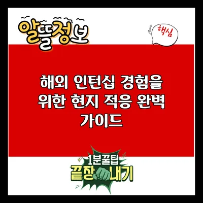 해외 인턴십 경험을 위한 현지 적응 완벽 가이드