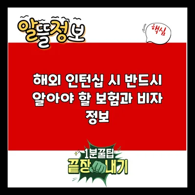해외 인턴십 시 반드시 알아야 할 보험과 비자 정보