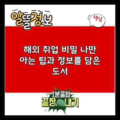 해외 취업 비밀: 나만 아는 팁과 정보를 담은 도서