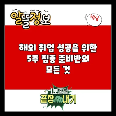 해외 취업 성공을 위한 5주 집중 준비반의 모든 것
