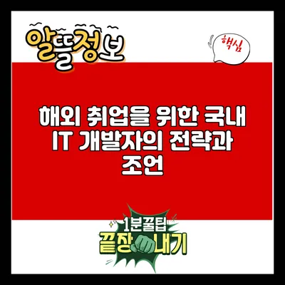 해외 취업을 위한 국내 IT 개발자의 전략과 조언