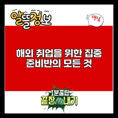 해외 취업을 위한 집중 준비반의 모든 것